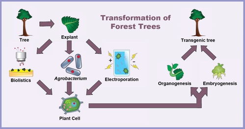 农业领域的基因编辑技术或可用于生物武器开发 兴农大数据 今天