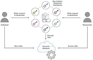 如何解决个人基因组时代的数据隐私问题
