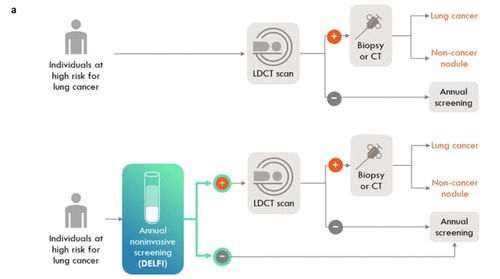 研究团队开发出基于cfdna的全基因组ai血液检测技术,可高精度识别肺癌