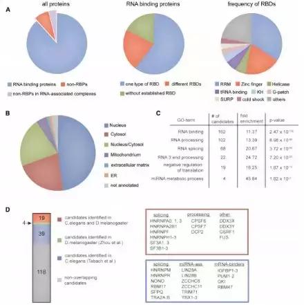 如何运用crispr cas9基因编辑技术发高分文章