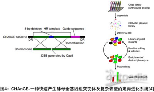 基因编辑进展梳理 part ii 基于crispr cas9的技术应用篇 三