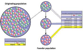 科学往事 生物演化的动力是什么