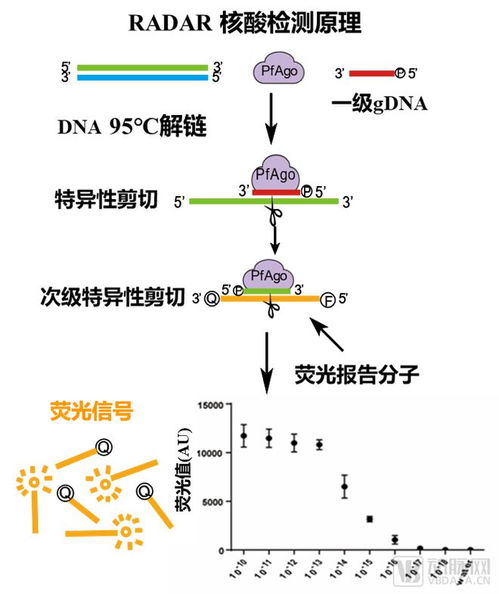 交大又一个融资超千万科技成果转化 交弘生物携新型基因酶狂飙