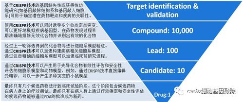 crispr基因编辑技术是如何加速药物发现进程的