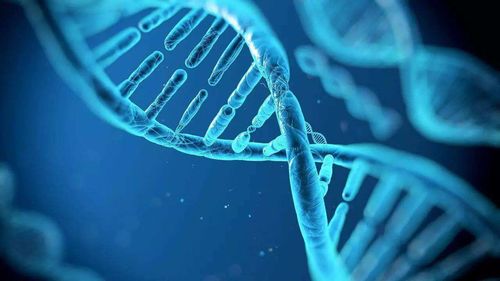 曾经轰轰烈烈的基因组测序计划,如今都有哪些新发现