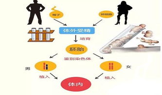 第三代试管婴儿技术是如何控制胎儿性别