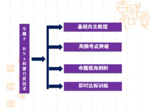 2012优化方案高考生物总复习 大纲版 选修1专题5 dna和蛋白质技术
