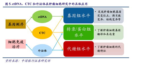 新三板体外诊断之益善生物 肿瘤检测变现路漫漫