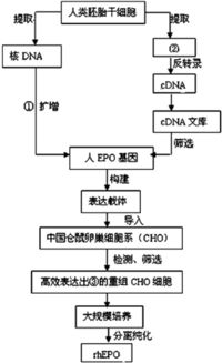 分析有关生物工程的资料,回答问题. 1 新技术的建立和应用对生物学发展至关重要.下列技术 或仪器 与应用匹配正确的是 高中生物