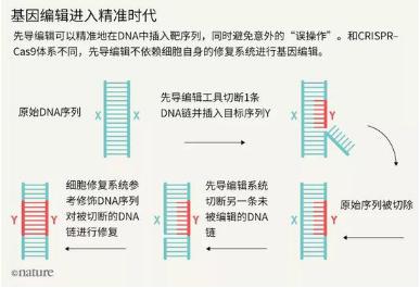 目前最热门的基因编辑技术应用成果 人类又将如何进化