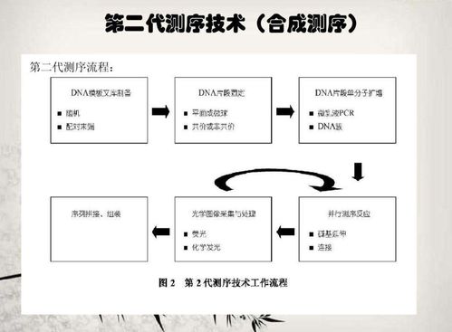 第二代dna测序技术
