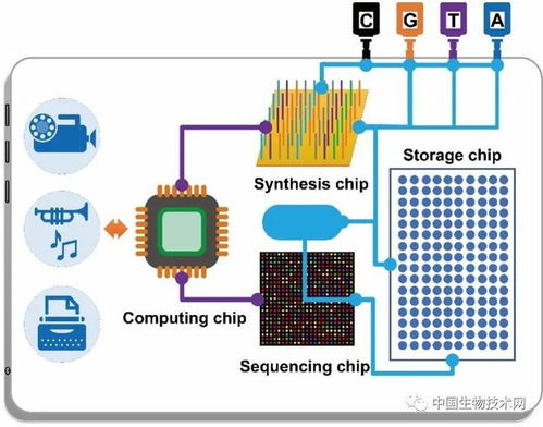 天津大学创新dna存储算法 9.4 下,可让敦煌壁画再保存2万年