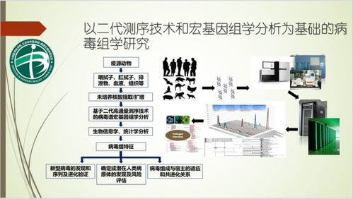 病原宏基因组学检测技术发展与应用 知易行难