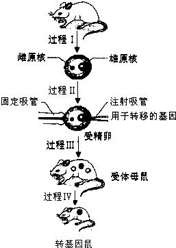 如图表示各种膜的组成成分含量.该图不能说明的是 a.构成细胞膜的主要成分是蛋白质和脂质b.膜中的脂质和蛋白质含量的变化与膜的功能有关c.膜的功能越简单.所含蛋白质的数量越少