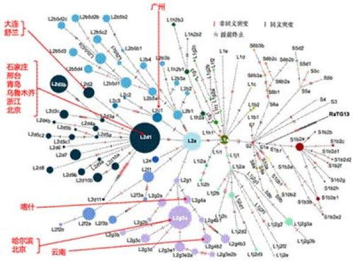 今日科技话题 新冠病毒基因组 生命大灭绝 活体组织成像技术 宇宙网 毛发 发光心脏