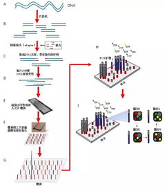 decoding life dna测序技术的前世今生