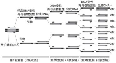 基因技术在对抗新冠病毒时,显了哪些神威 ︱大家