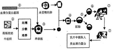 高中生物其他试题列表 高中生物其他
