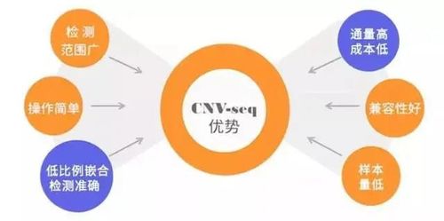 检验大提速,精准高效破解 密码