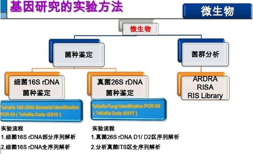 细菌鉴定中到底是16srdna测序还是16srrna测序