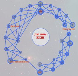 中国最知名的隆胸专家脂肪隆胸好吗京韩专利发明