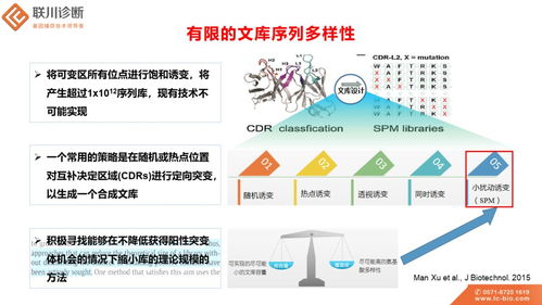高通量dna合成与测序技术优化抗体亲和力