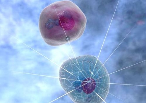 生物技术五大工程 基因工程 细胞工程 蛋白质工程 酶工程 发酵工程,这五大工程之间的关系
